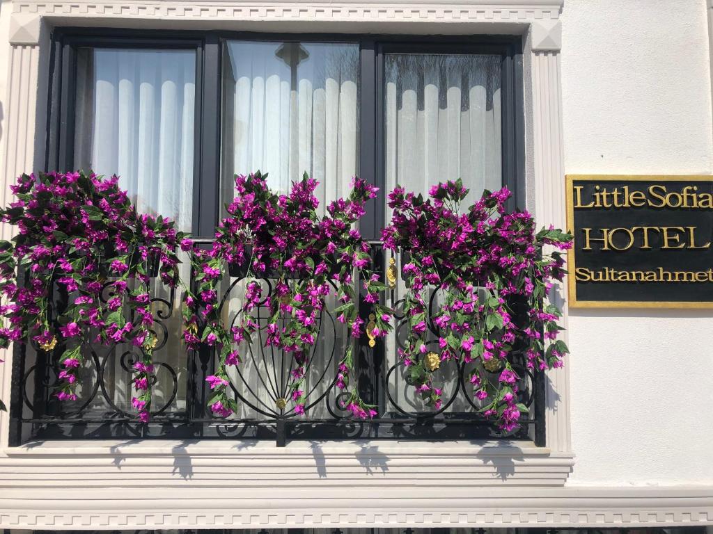 Little sofia hotel - 16