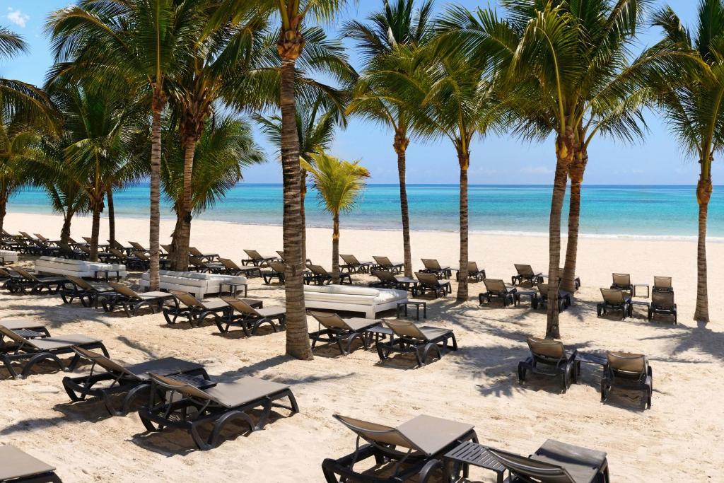 einen Strand mit Stühlen, Palmen und dem Meer in der Unterkunft Catalonia Playa Maroma - All Inclusive in Playa del Carmen