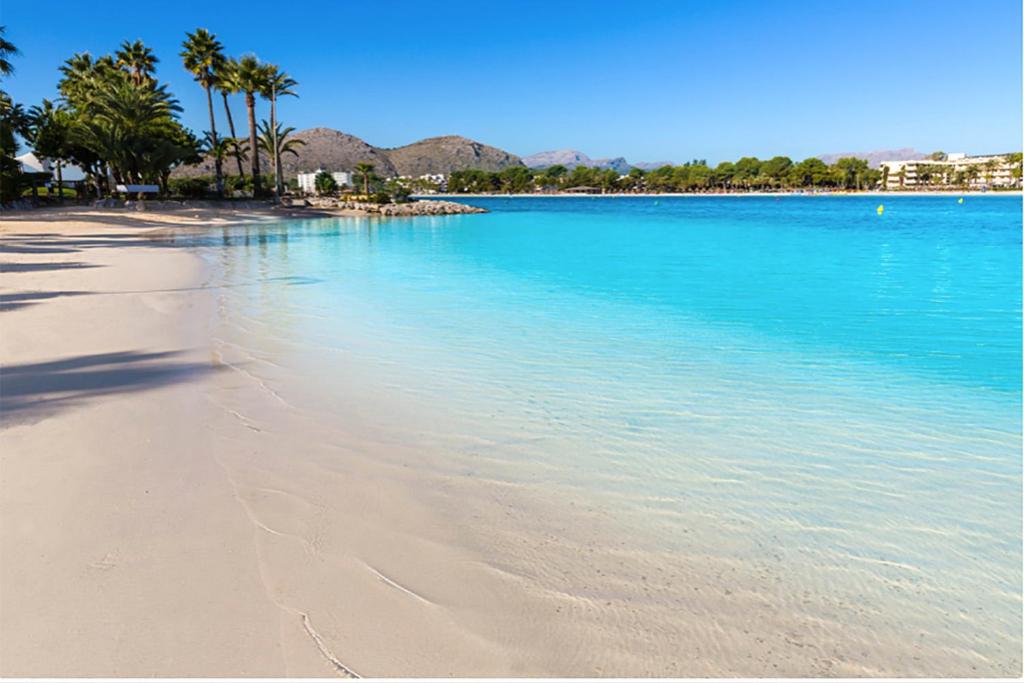 Apartment Paradise Bay 3 at Alcudia Beach, Salzes 3, Playa de ...