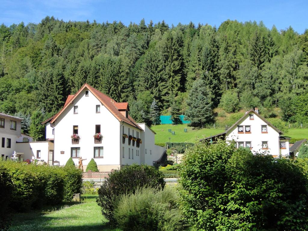 un grupo de casas frente a una montaña en 4 Sterne Ferienwohnung Sommerberg inklusive Gästekarte en Rohrbach