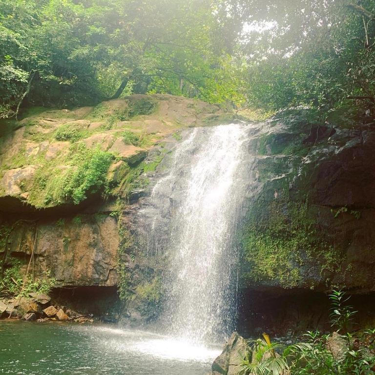 Фотография из галереи Waterfall Accomodation в Порт-Глоде