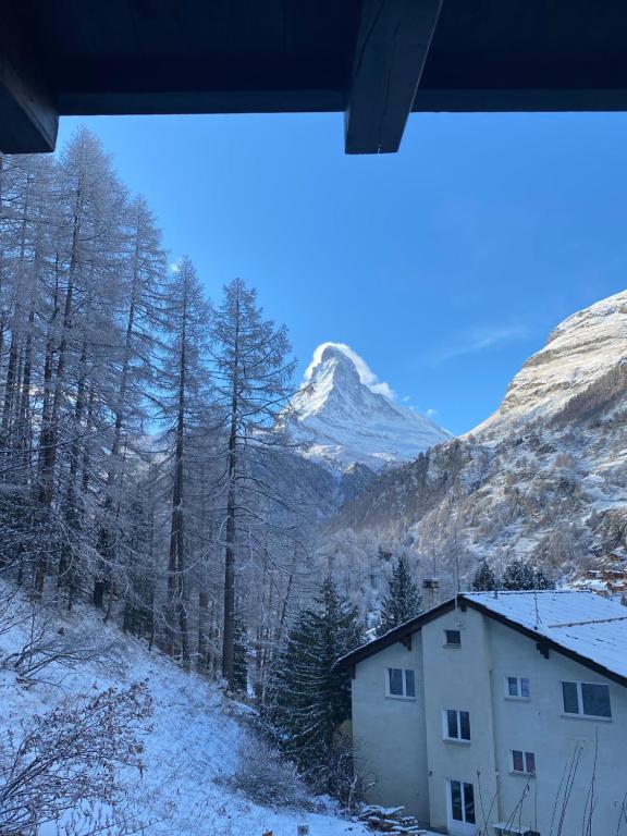 Apartment with beautiful views in Zermatt - Resim 12