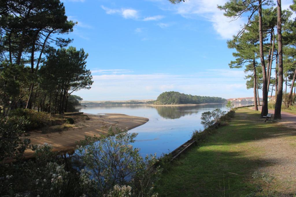 a view of a river with trees on the side at MAISON les ARCADES in Soustons