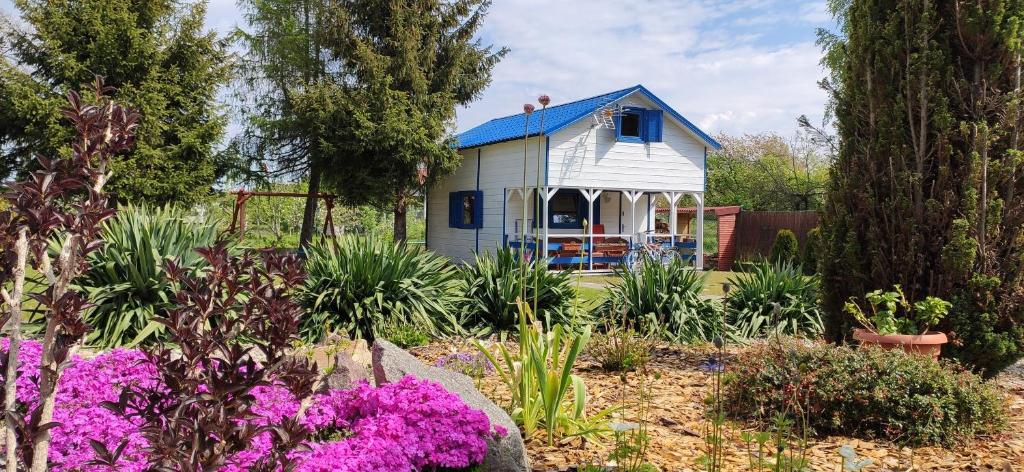 ein kleines weißes Haus mit blauem Dach im Garten in der Unterkunft Karsibór DE in Świnoujście