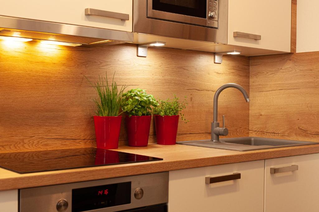 Kuchyň nebo kuchyňský kout v ubytování Appartement Gimpl