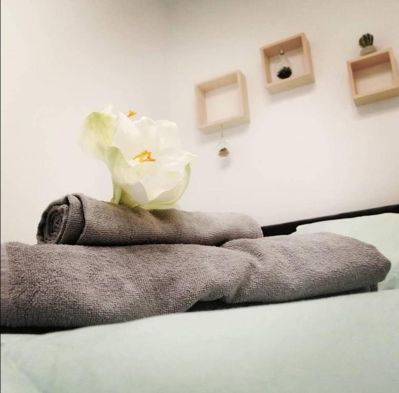 uma flor branca sentada em cima de uma cama em Casa do Frade em Cabeço de Alhos Vedros