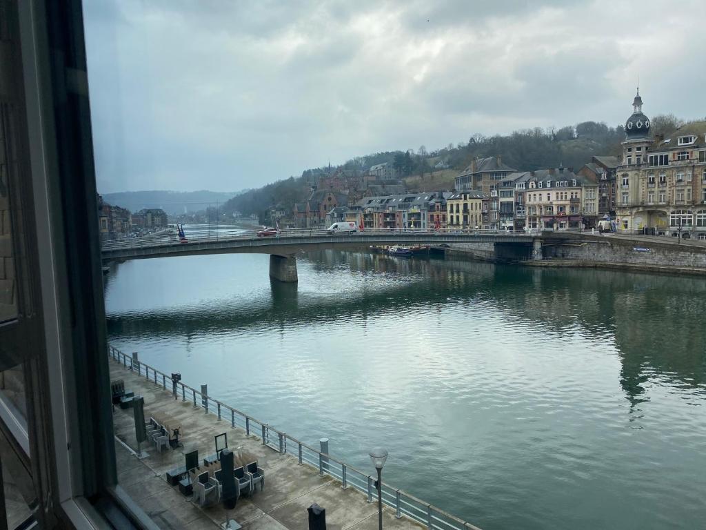 a view of a river with a bridge and buildings at le coeur de ville in Dinant