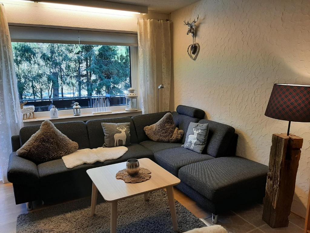 ein Wohnzimmer mit einem Sofa und einem Tisch in der Unterkunft Apartment am Bikepark mit Kamin und Sauna in Winterberg