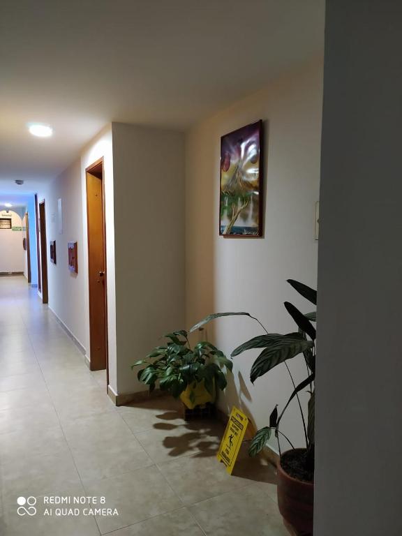 TV a/nebo společenská místnost v ubytování Hospedaje Wicirare
