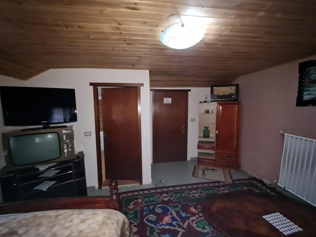 TV a/nebo společenská místnost v ubytování Sofra Kolonjare Agroturizem