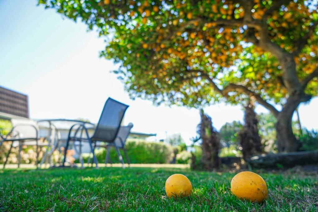 Montana Lodge Motel - Resim 9