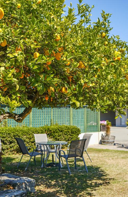 Montana Lodge Motel - Resim 5