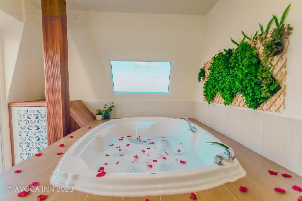 Fotografie z fotogalerie ubytování Avoca Inn v destinaci Hulhumale