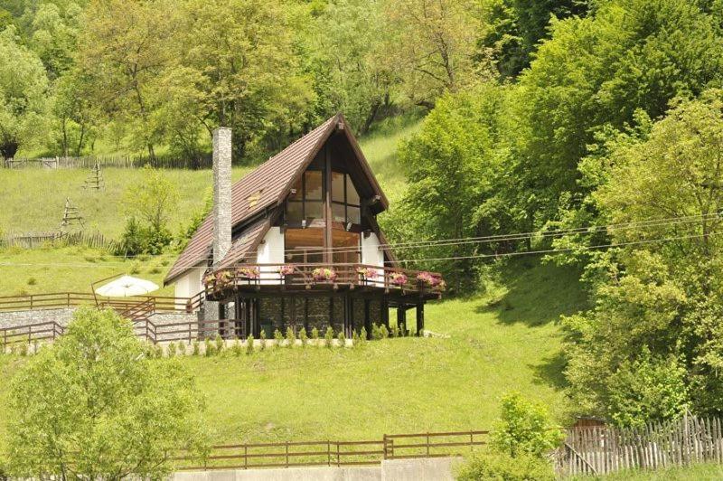 uma casa no meio de um campo verde em Vila Negras em Trăisteni