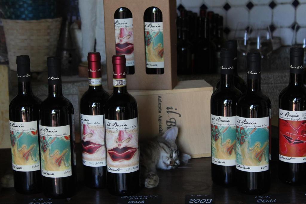 Agriturismo & Winery Il Bacio italokat is kínál