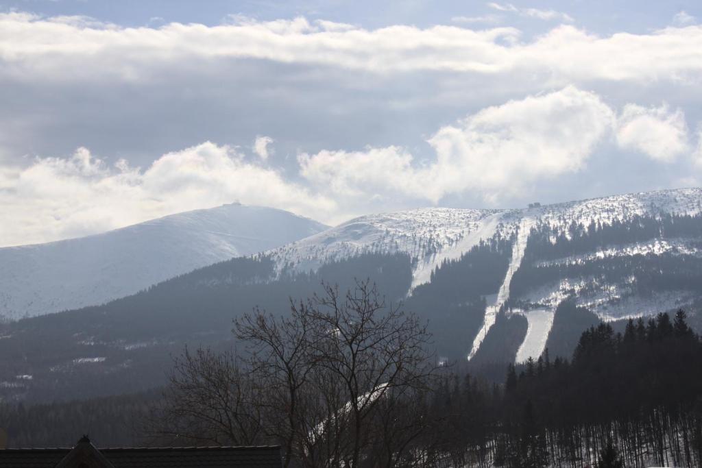 a snow covered mountain range with trees and mountains at Pensjonat Astor in Karpacz