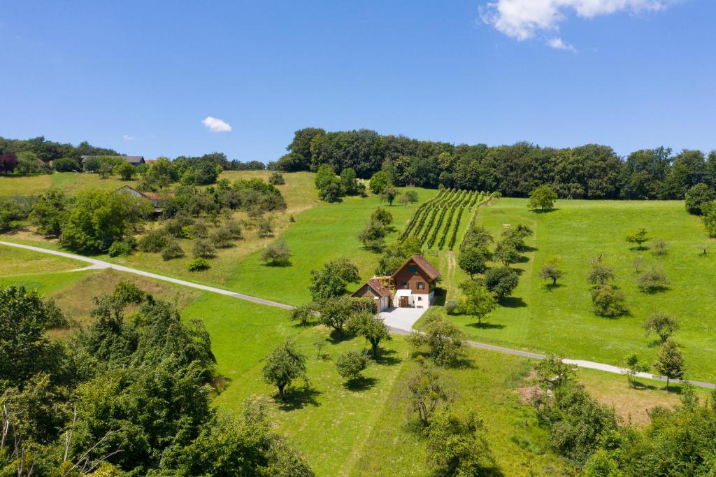 Weingarten & Appartement Auszeit with private Spa - Two-Bedroom Apartment