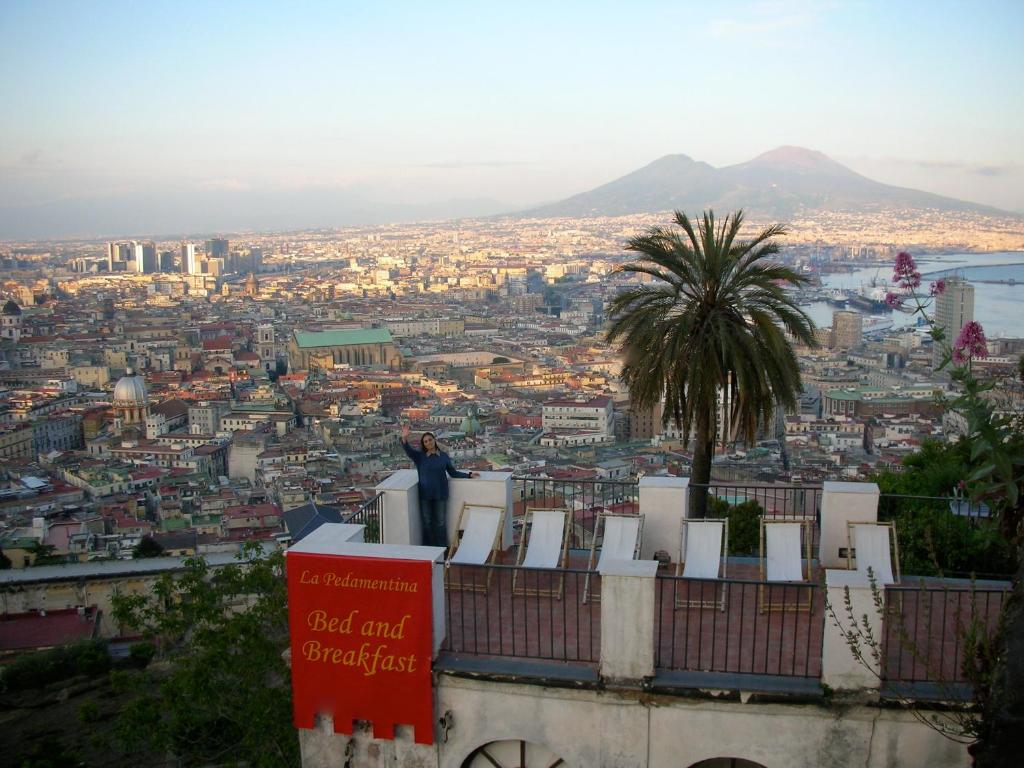 una persona in piedi sulla cima di un edificio che si affaccia su una città di Guest House Pedamentina a Napoli