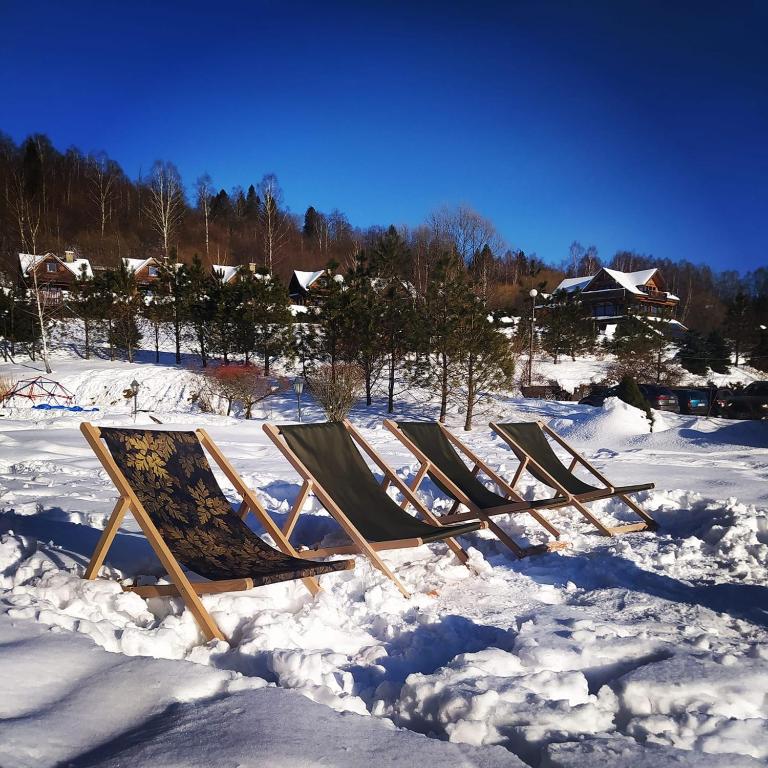 Obiekt Wilcza Jama - domki z bali zimą