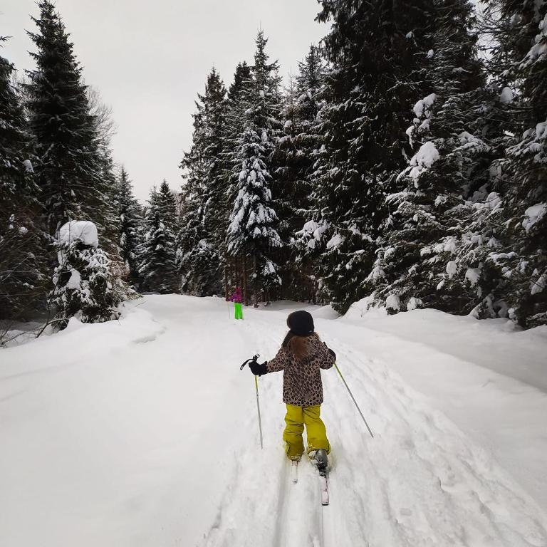 Obiekt Wilcza Jama - domki z bali zimą