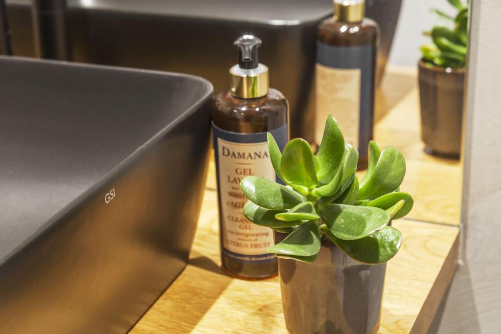 CASA DA ILHA - Slow Living Residence & Suites - 11