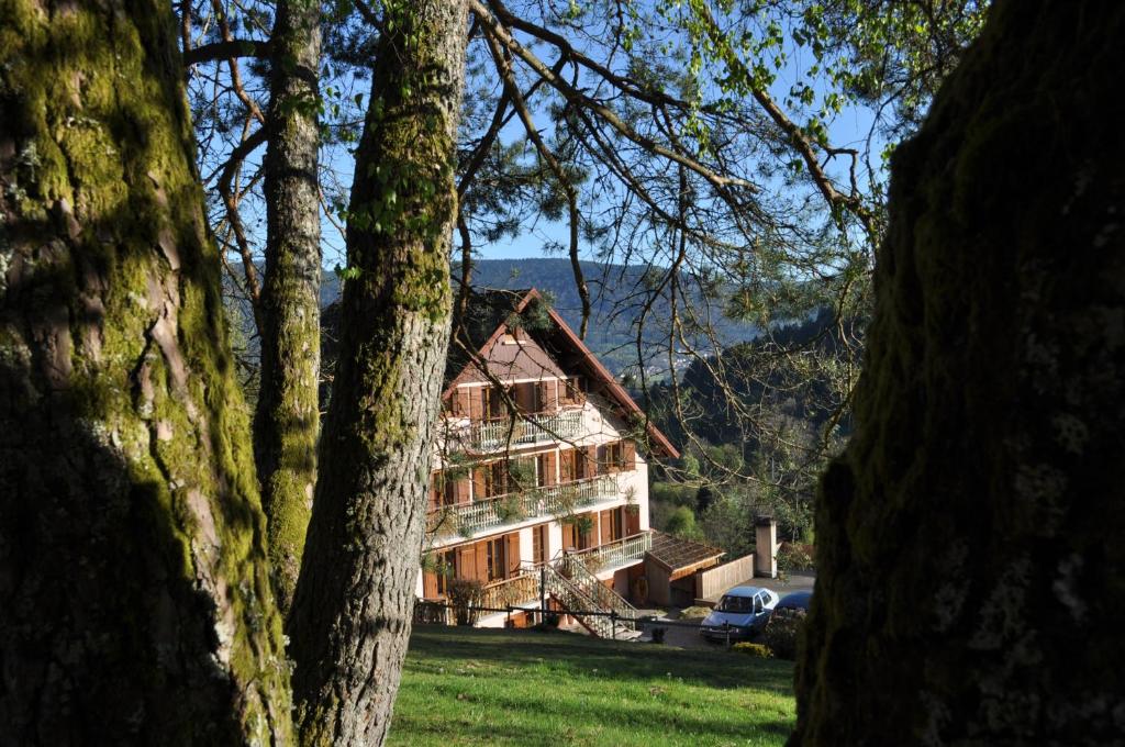 een groot huis wordt gezien door enkele bomen bij A l'Orée du Bois in Dommartin-lès-Remiremont