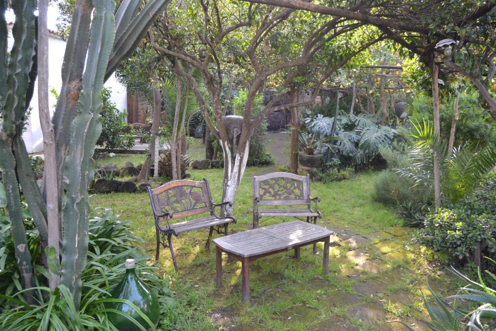 two chairs and a table in a garden with trees at Piccolo Tirreno Hotel Residence in Procida