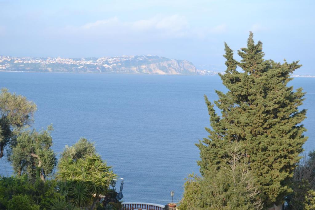 a view of a large body of water with trees at Piccolo Tirreno Hotel Residence in Procida