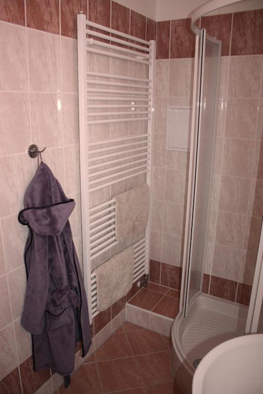 Koupelna v ubytování Apartmán Velké Losiny