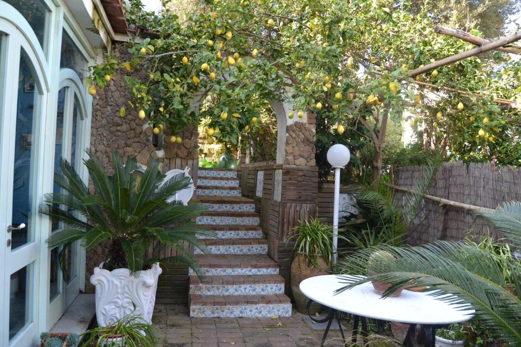 a set of stairs with oranges hanging from a tree at Piccolo Tirreno Hotel Residence in Procida