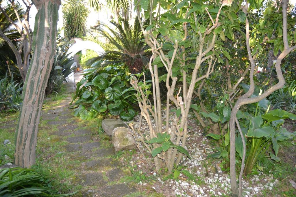 a garden with a bunch of trees and plants at Piccolo Tirreno Hotel Residence in Procida