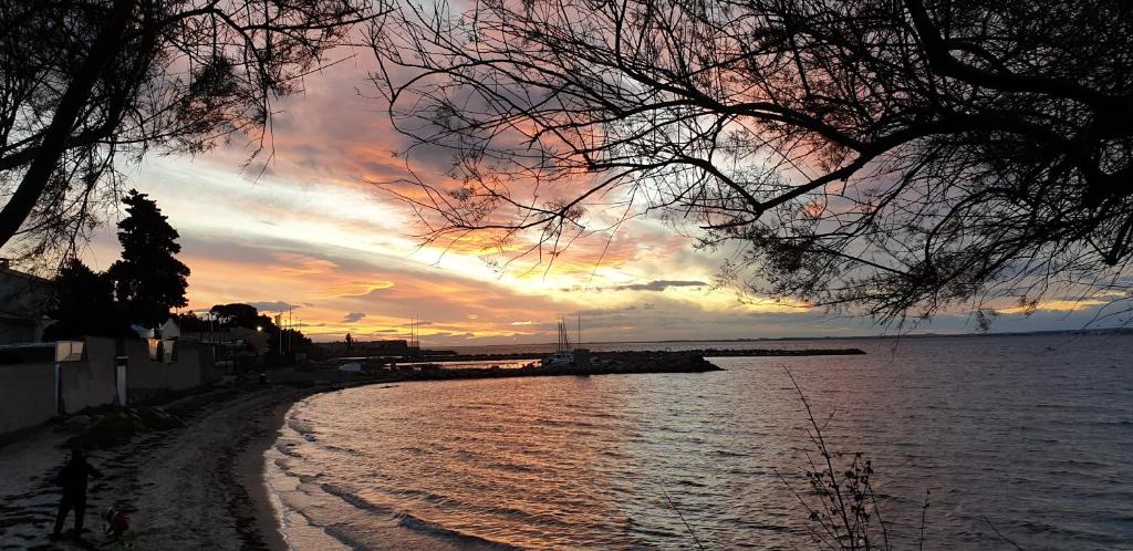 una puesta de sol sobre un cuerpo de agua con un árbol en Cathymini à Sete, en Sète