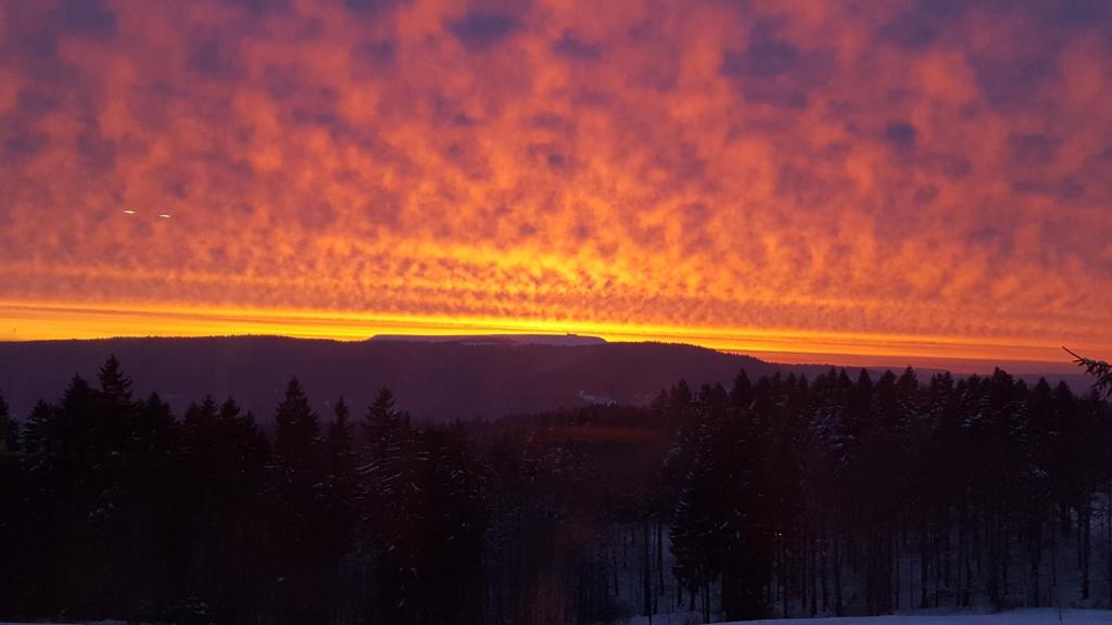 Příroda nedaleko hotelu