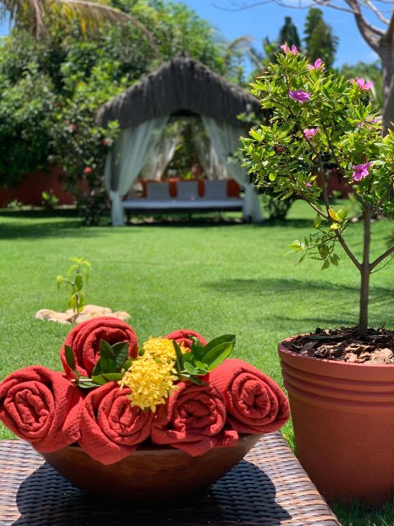  Casa de luxo Villa Janaina