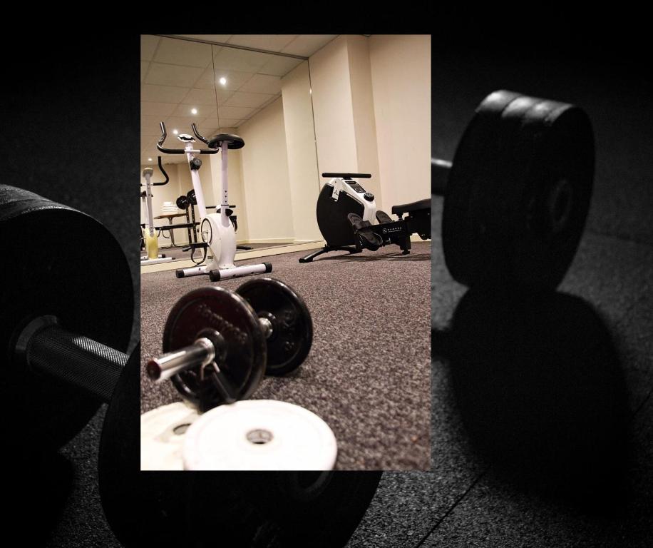 Fitness centrum a/nebo fitness zařízení v ubytování Helgon Hotel - Lourdes Pyrénées