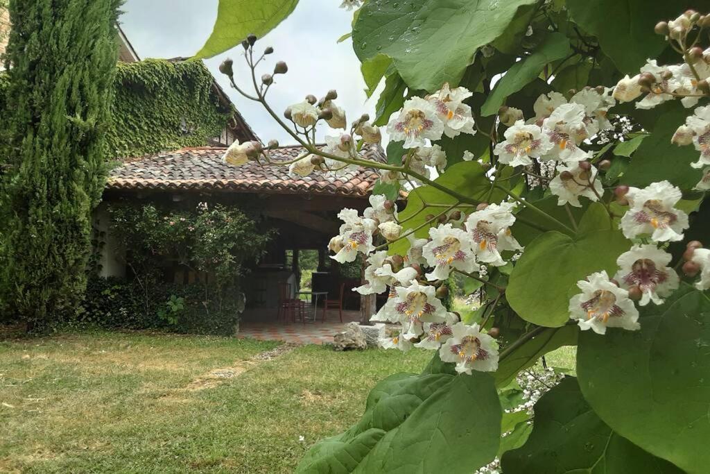 a tree with white flowers in front of a house at Maison de charme confortable au cœur de la nature in Saint-André-de-Double