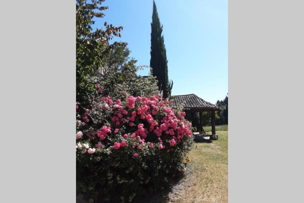 a bush of pink flowers with a gazebo at Maison de charme confortable au cœur de la nature in Saint-André-de-Double