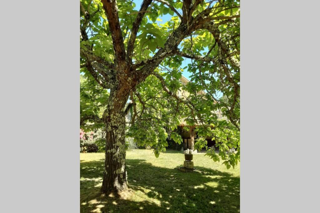 Gallery image of Maison de charme confortable au cœur de la nature in Saint-André-de-Double