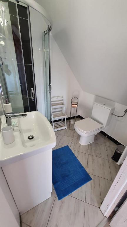Parkowy Kudowa - Chambre Double Ou Lits Jumeaux De Luxe
