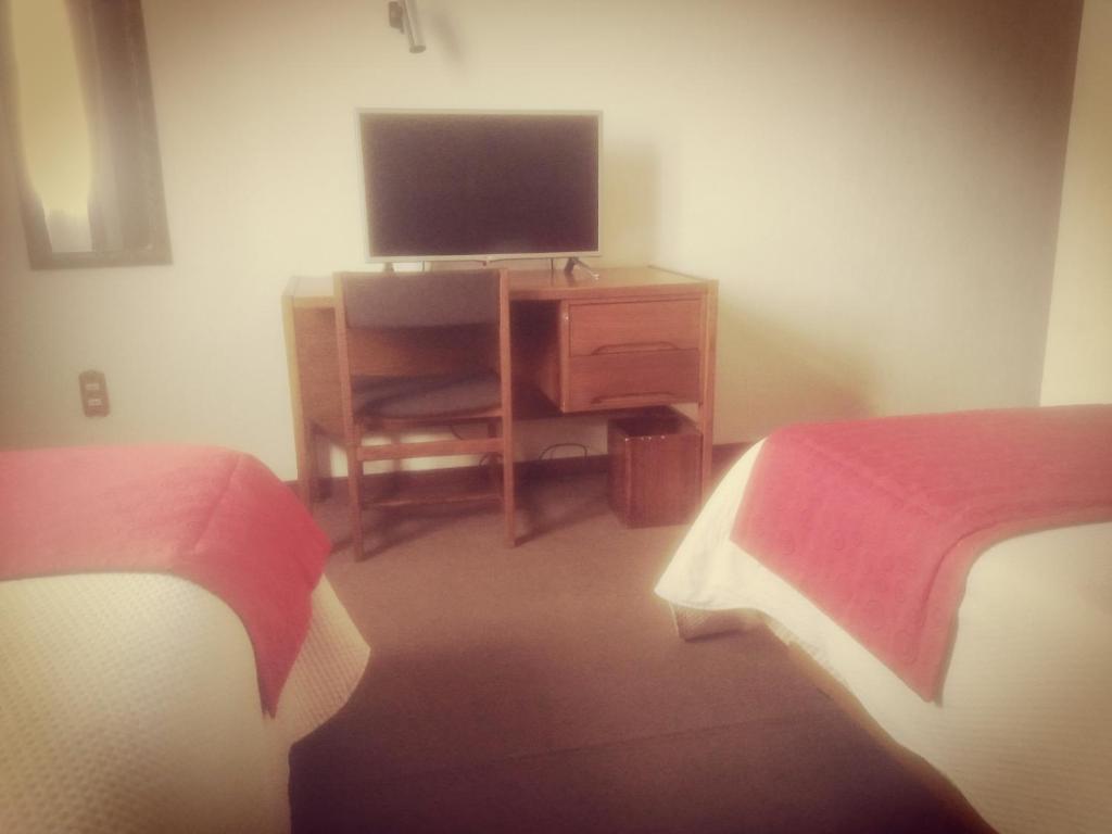 TV a/nebo společenská místnost v ubytování Hotel Mercurio