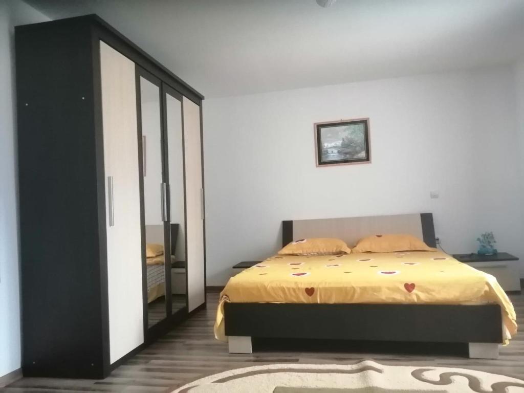 上維謝烏的住宿－Cabana plaiului，一间卧室配有一张床和一面大镜子