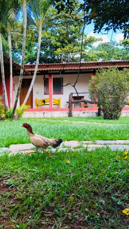 Pousada Villa Serena