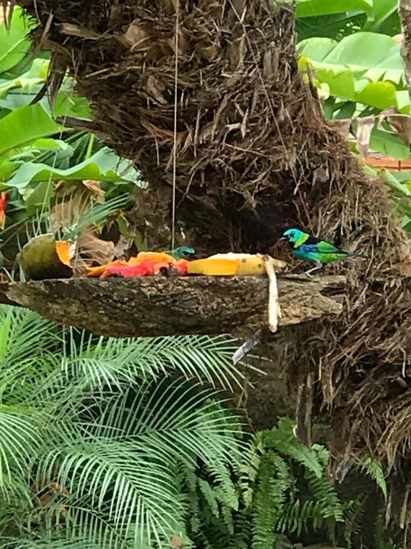  Casa de praia Recanto Itamambuca-Ubatuba