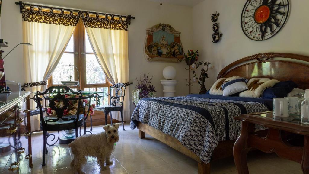 El Jardín del Edén B&B Boutique - 豪华套房