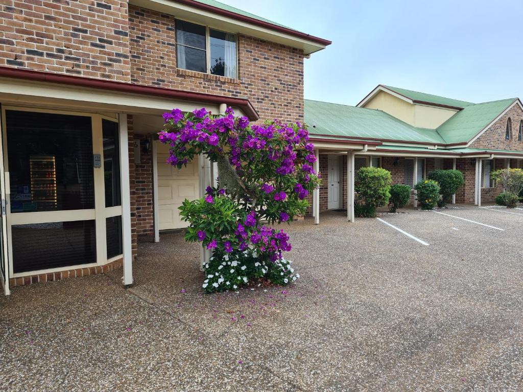 
a small garden with flowers in front of a building at Country Gardens Motor Inn in Toowoomba
