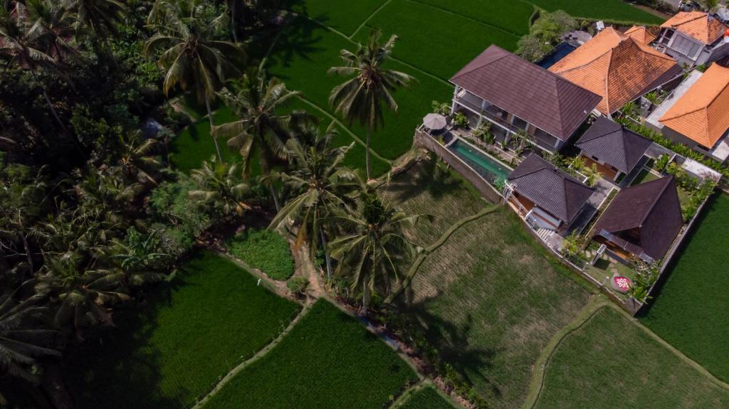 an aerial view of a house with palm trees at Tri Dewi Residence by Pramana Villas in Ubud