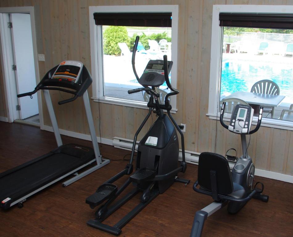 Fitness centrum a/nebo fitness zařízení v ubytování Silver Dart Lodge