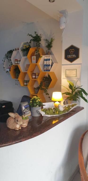 uma prateleira com plantas e uma lâmpada numa parede em Hotel Miodowy em Dzierżoniów