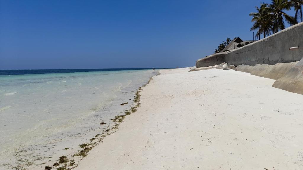 einen Sandstrand mit Palmen und dem Meer in der Unterkunft Ary Beachfront Homestay Nyali- On Mombasa Beach in Mombasa
