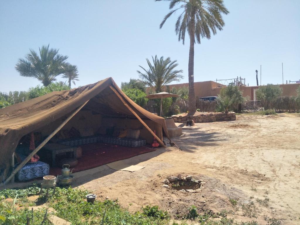 a tent in a field with palm trees at Tarmguist in Tighmert